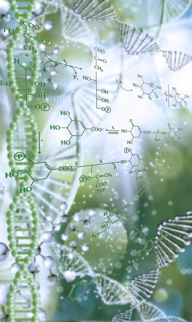 Get Involved 6 dna checmical properties